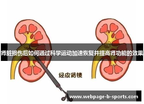 肾脏损伤后如何通过科学运动加速恢复并提高肾功能的效果 肾脏损伤后如何通过科学运动加速恢复并提高肾功能的效果
