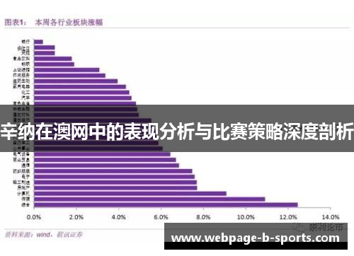 辛纳在澳网中的表现分析与比赛策略深度剖析